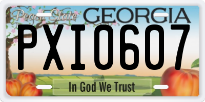 GA license plate PXI0607