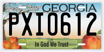 GA license plate PXI0612