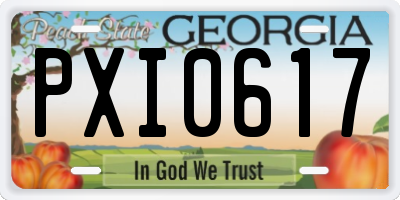 GA license plate PXI0617