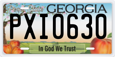 GA license plate PXI0630