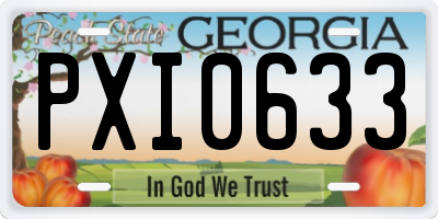 GA license plate PXI0633