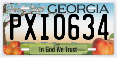 GA license plate PXI0634