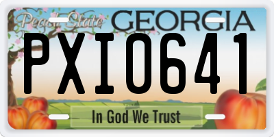 GA license plate PXI0641
