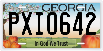 GA license plate PXI0642
