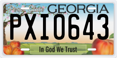 GA license plate PXI0643