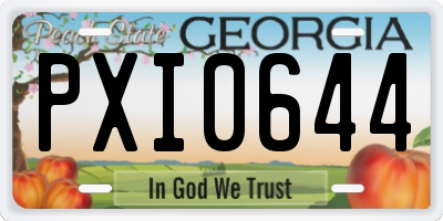 GA license plate PXI0644