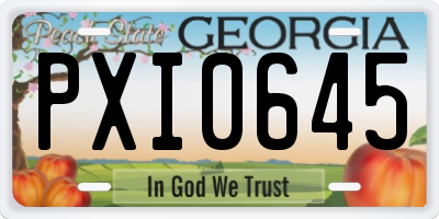 GA license plate PXI0645