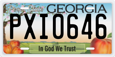 GA license plate PXI0646