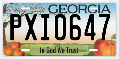 GA license plate PXI0647