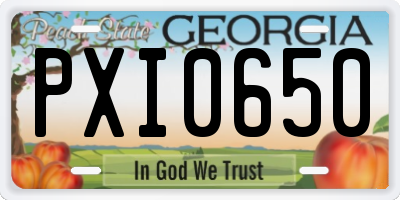 GA license plate PXI0650