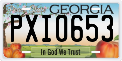 GA license plate PXI0653