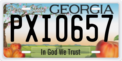GA license plate PXI0657