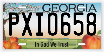 GA license plate PXI0658