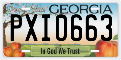 GA license plate PXI0663