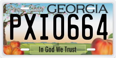 GA license plate PXI0664