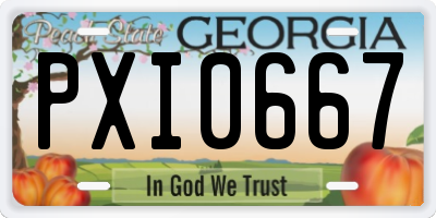 GA license plate PXI0667