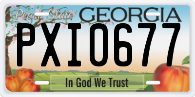 GA license plate PXI0677