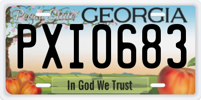 GA license plate PXI0683