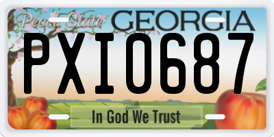 GA license plate PXI0687