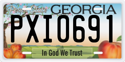 GA license plate PXI0691