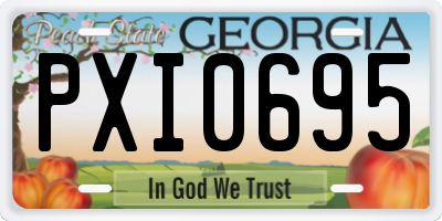 GA license plate PXI0695