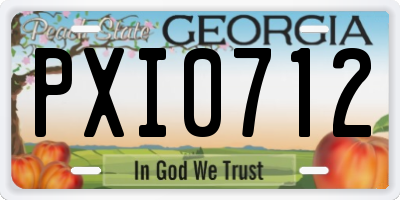 GA license plate PXI0712