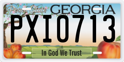 GA license plate PXI0713