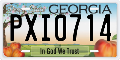 GA license plate PXI0714