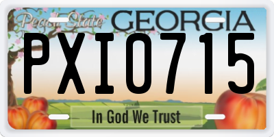 GA license plate PXI0715