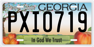 GA license plate PXI0719