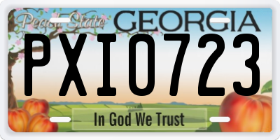 GA license plate PXI0723