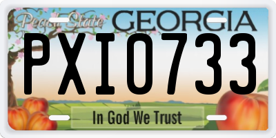 GA license plate PXI0733
