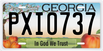 GA license plate PXI0737