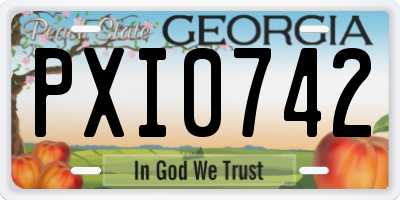 GA license plate PXI0742