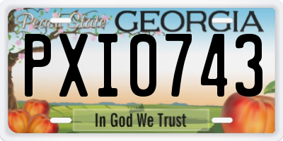 GA license plate PXI0743