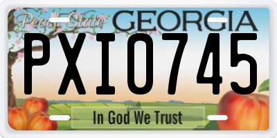 GA license plate PXI0745