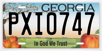 GA license plate PXI0747