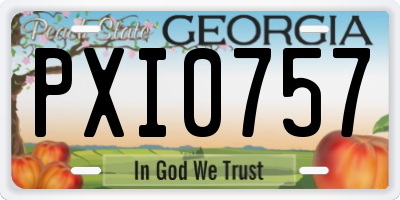 GA license plate PXI0757