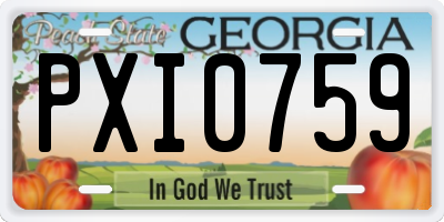 GA license plate PXI0759