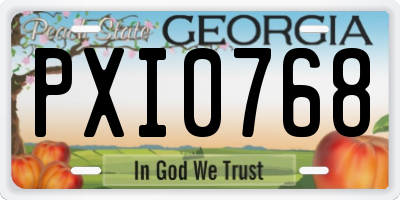 GA license plate PXI0768
