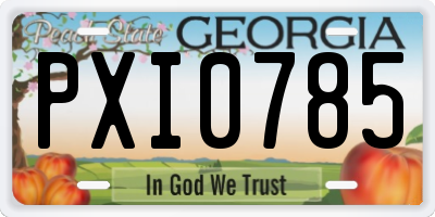 GA license plate PXI0785