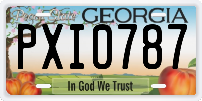 GA license plate PXI0787
