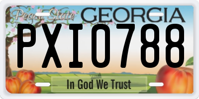 GA license plate PXI0788