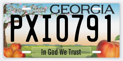 GA license plate PXI0791