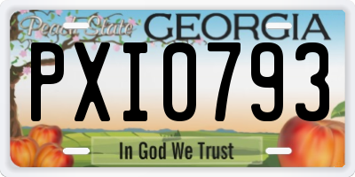 GA license plate PXI0793