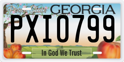 GA license plate PXI0799