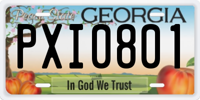 GA license plate PXI0801