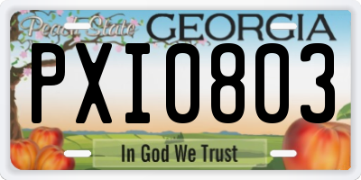 GA license plate PXI0803