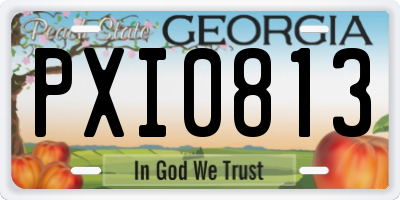 GA license plate PXI0813