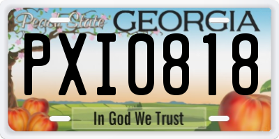 GA license plate PXI0818